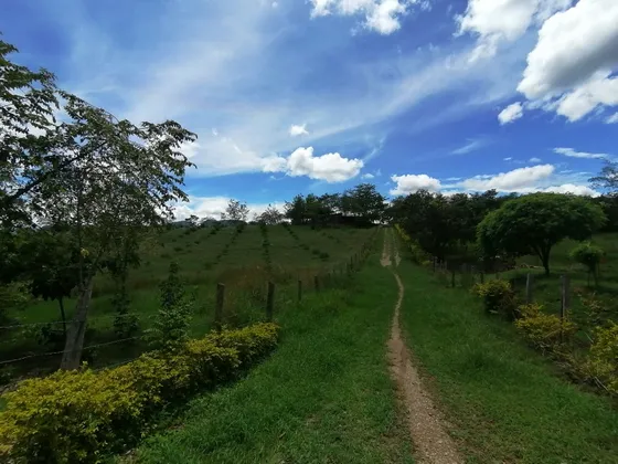 Fabulosa Finca De 18ha