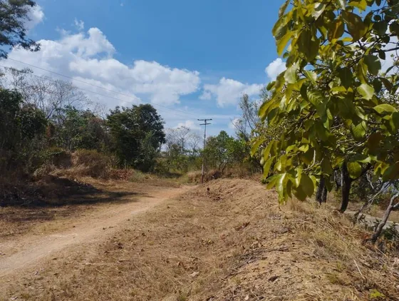 Terreno En Venta En El Safari Carabobo 265858 Lz