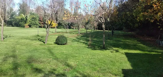 Maravillosa Parcela Con Gran Parque/ Cabaña Y Taller