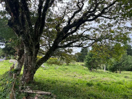 Vendo Lote En Residencial El Castillo San Rafael Mide 2.710m2, Con 44 Mts Frente, Es Semiplano, Y Cuenta Con Tres Pajas De Agua, Uso De Suelo Residencial Y Se Puede Construir El 75%