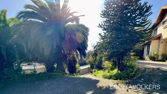 Casa En Arriendo, Lomas De San Andrés