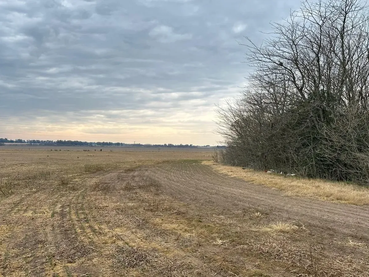 27.2-Hectare Rural Property in La Luisa – Near Sarmiento and Arrecifes Capitals