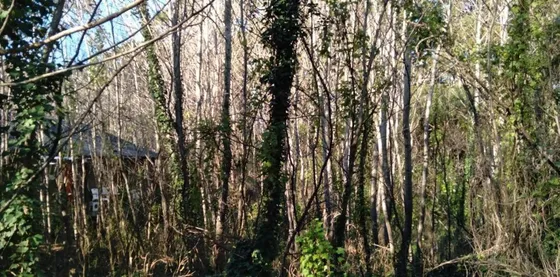 Terreno En Venta - 350mts2 - Mar Azul
