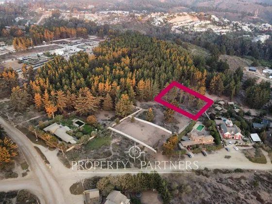 Terreno En Los Pinos Reñaca 