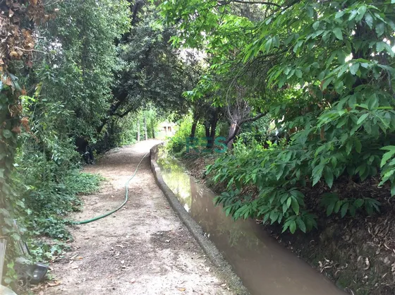 La Reina Alto, 2.500 Mts Terreno, Casa De 300 Mts, Piscina