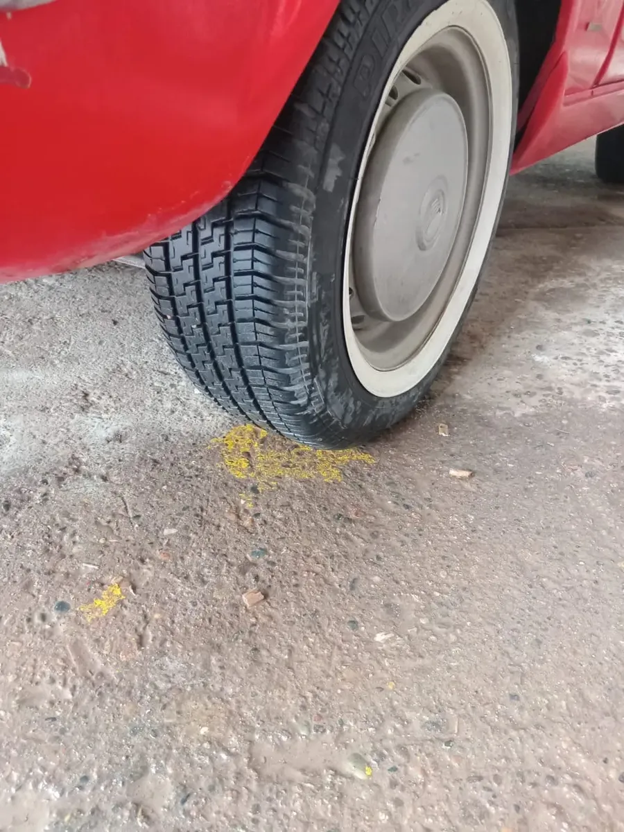 Fiat 800 15385218676287180817