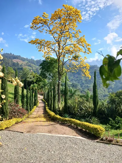 Finca Fredonia Antioquía.20.000 Metros