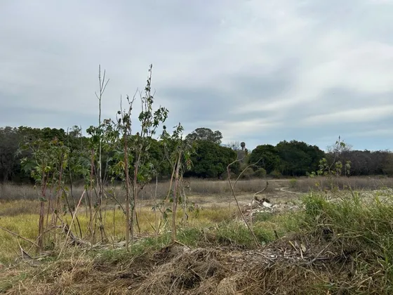 Terreno En Venta, Chapala, 32 Ha