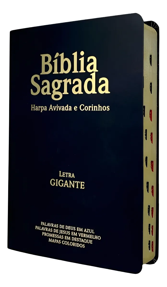 O que você precisa saber sobre este produto      Ano de publicação: 2024     Com índice: Sim     Capa do livro: Mole     Gênero: Religião e espiritualidade.     Com capa de flexível.     Idade mínima recomendada: 5 anos.