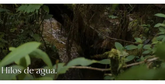 Venta De Lote Vía Don Diego - La Ceja Sector Tequendamita