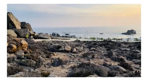 Hermosa Parcela En Costa Del Sol