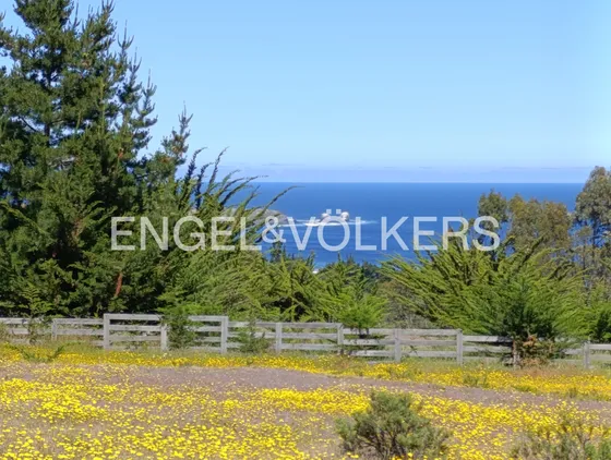 Excelente Terreno En Punta De Lobos