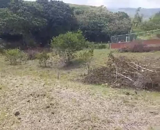 Se Vende Lote En Pavas, Valle Cauca