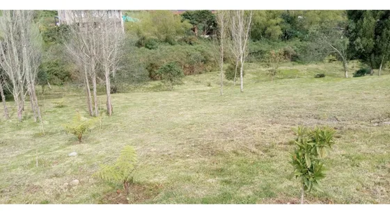 Lote En Venta La Acuarela, Alto De Palmas - Envigado 