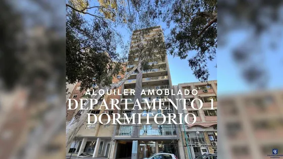 Departamento Amoblado 1 Dormitorio En  Alquiler