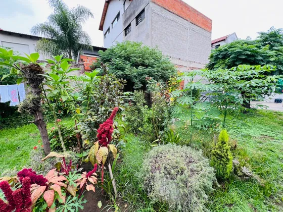 Venta Local Comercial Campana