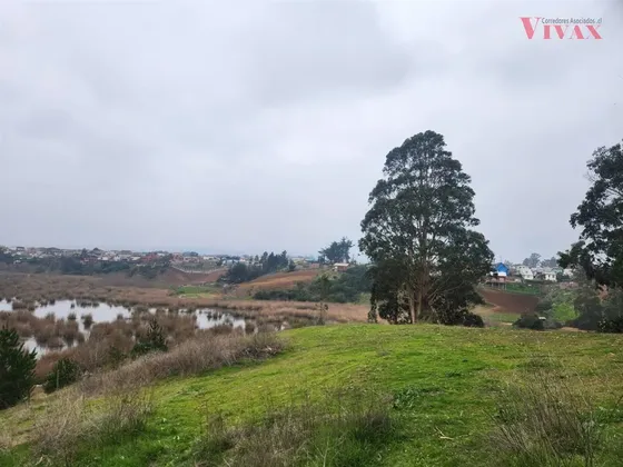 Parcela En Venta En Pichilemu