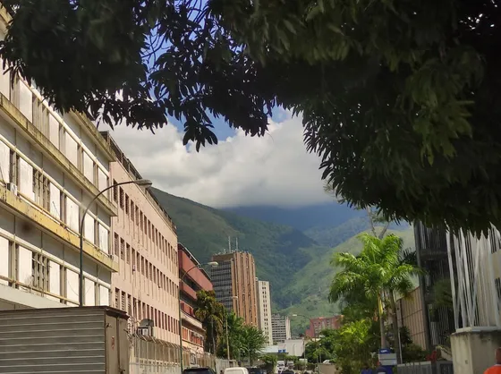 Edificio Comercial E Industrial Y Galpom Los Cortijos De Lourdes