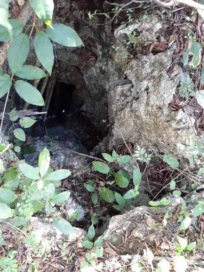 Terreno Con Cenote En Venta En Xtut, Valladolid Yucatán