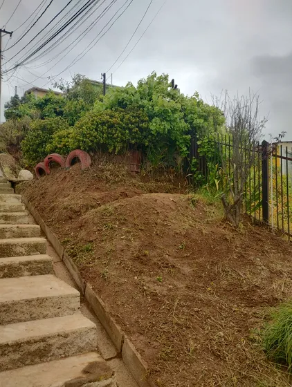 Se Arrienda Casa Sector Forestal 