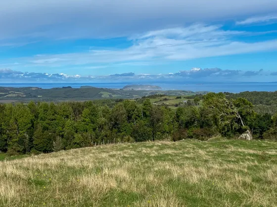 Campo En Venta Con Espectacular Vista Al Mar En Los Muermos 