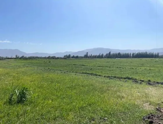 Agrícola En Venta En Lampa