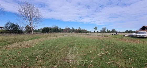 Cod38937 Agrícola En Venta En Freire. 
