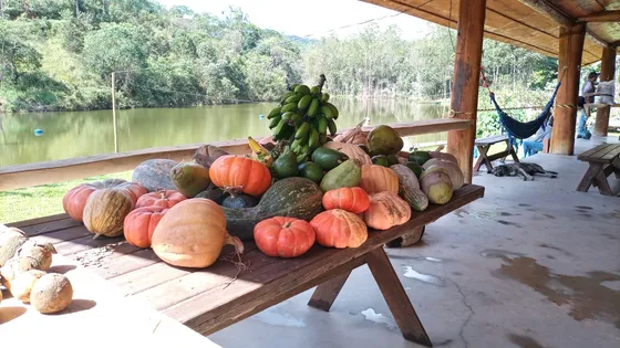 Lote Em Condomínio 1000m2 Na Estrada Real Córrego No Fundo. Lote Em Caeté Próximo A Barão De Cocais