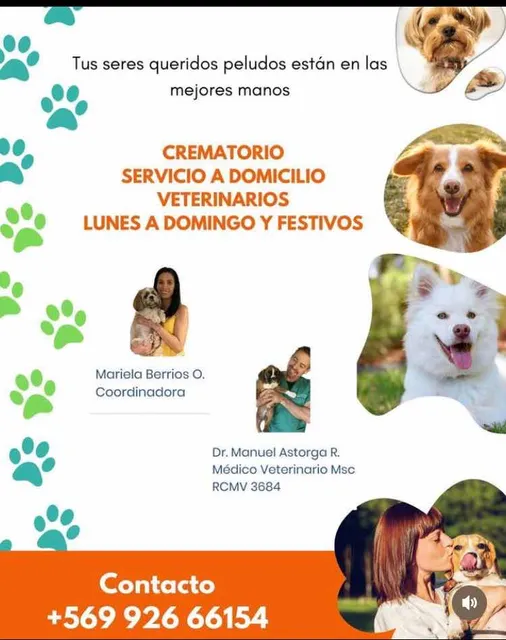 Cremación De Mascotas En Santiago