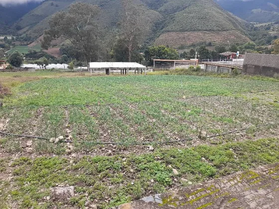 Lote De Terreno En El Sector Los Barbechos. Plt-256
