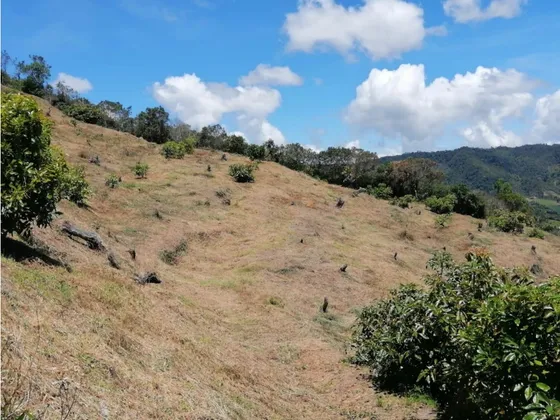 Encantadora Finca Aguacatera En Venta San Vicente 