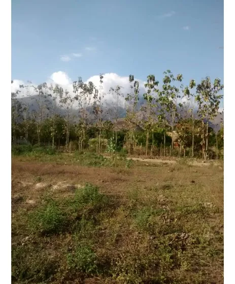 Terreno En San Diego El Polvero Carabobo