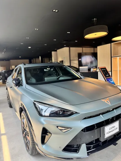 Cupra Formentor 2.0 Tsi Vz 333hp 4wd Dsg7