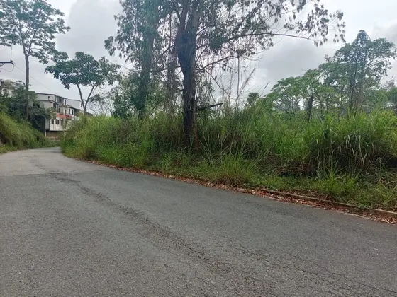 Terreno En Venta En Colinas De Carrizal