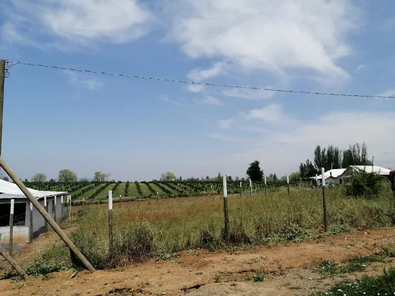 Terreno 300 M2 Bajos De Lircay