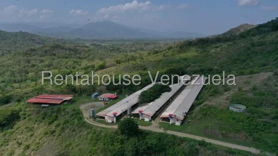 Julio Perez Vende Granja Productiva En El Penon Yaracuy  Jrp Cod Flex 25-14711