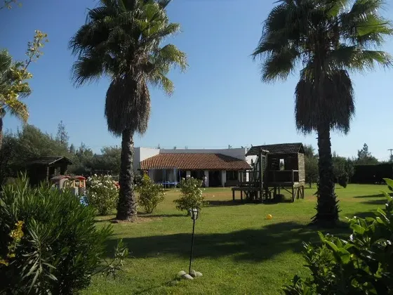 Parcela Condominio Doña Ines Del Oliveto - Par. 29 Lonquen S