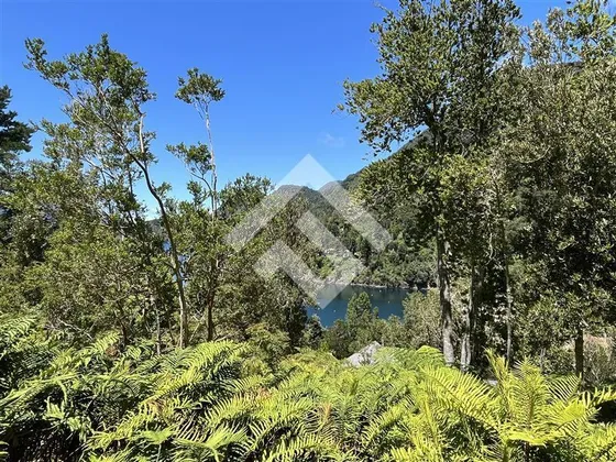 Sitio En Venta En Panguipulli