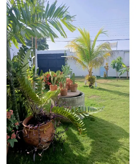 Casa En Higuerote Urbanización Zona Del Este
