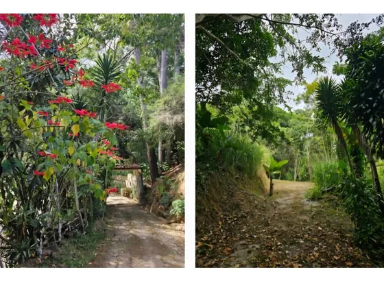 Dos Terrenos Parcelas En San Antonio,potrerito 7.553,13m2  M2 25-44