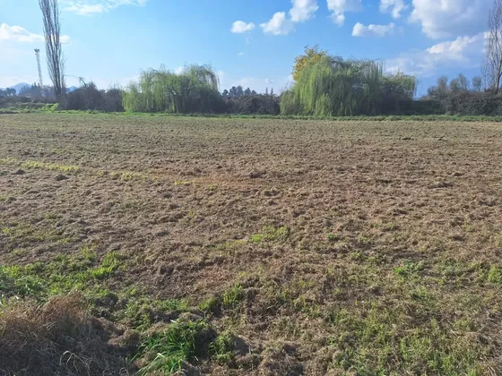 Agradable Parcela En Sector Graneros