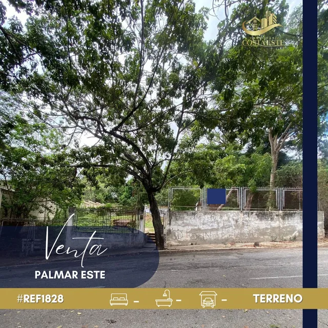 Terreno En Venta Ubicado En Palmar Este Ref 1828