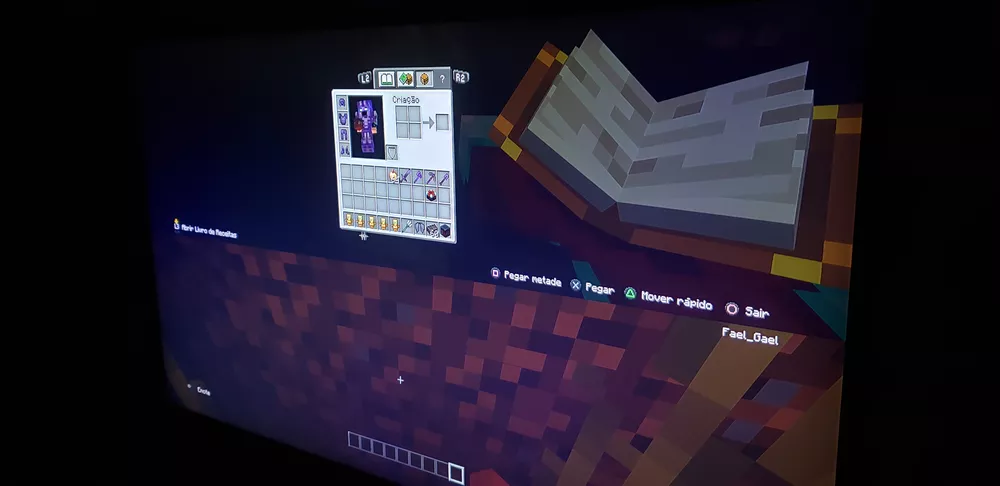 Minecraft Starter Collection para PS4 - Mojang - Jogos de Ação - Magazine  Luiza