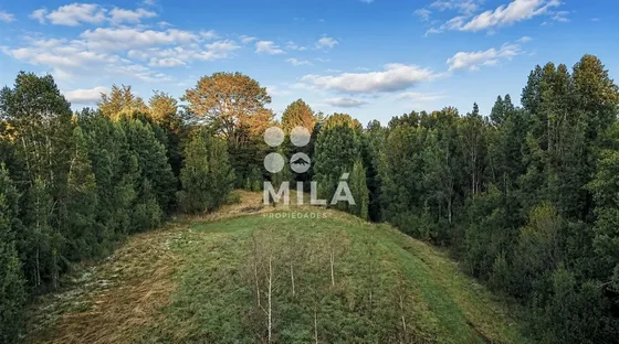Venta Parcela Rodeada De Naturaleza Y Excelente Ubicación