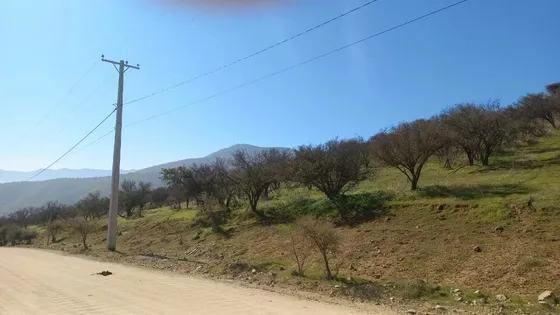 Hermoso Terreno 21.000 M2 Curacaví. 