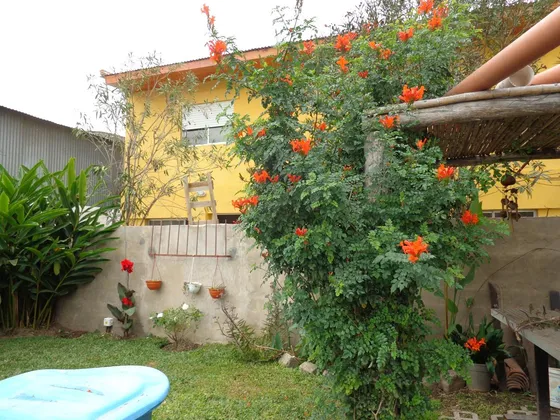 Oportunidad Apto Credito Ph Sin Expensas 2 Ambientes Con Patio 
