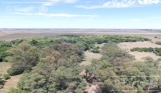 Punta Indio 100 Has Campo En Venta - Ideal Feed Lot - Oportunidad
