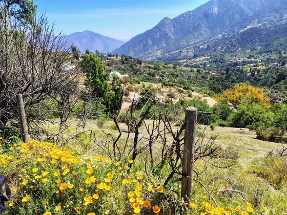 Venta Parcela Santuario Niño Dios Las Palmas, Quebrada Alvar