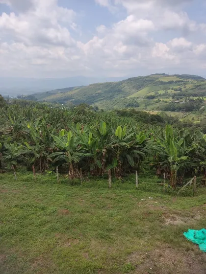 Finca De 1.580m2 En Venta Guacarí Sonso Valle Del Cauca Colombia