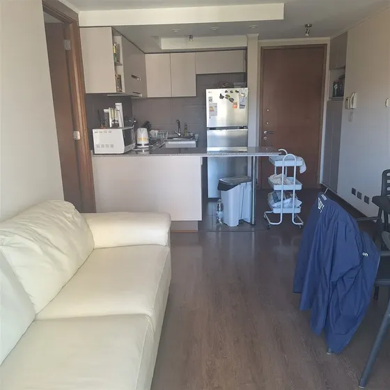 Oferta De Último Minuto!! Departamento Mariposa En Viña 